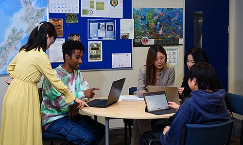International students working in New Zealand